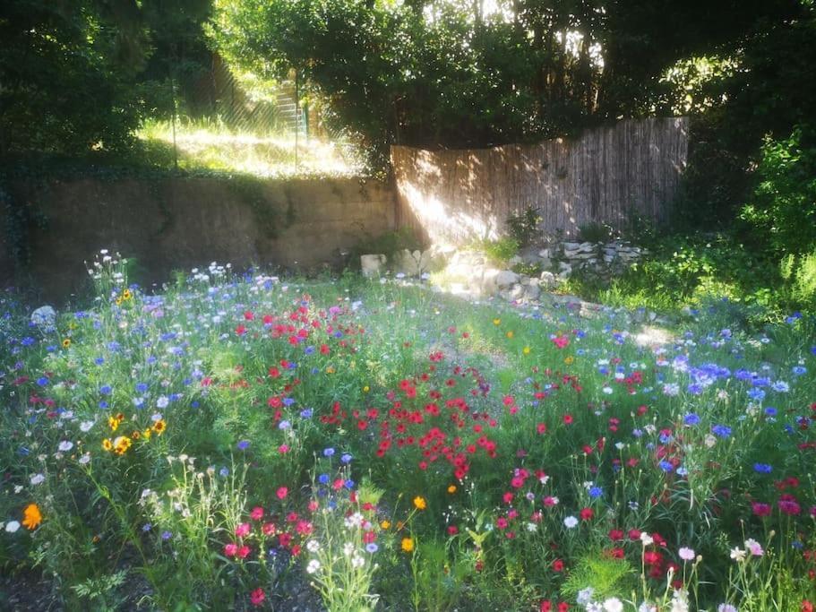 Ferienwohnung Belle Dependance De 30M2 Avec Terrasse Et Jardin Villeneuve-lès-Avignon Exterior foto